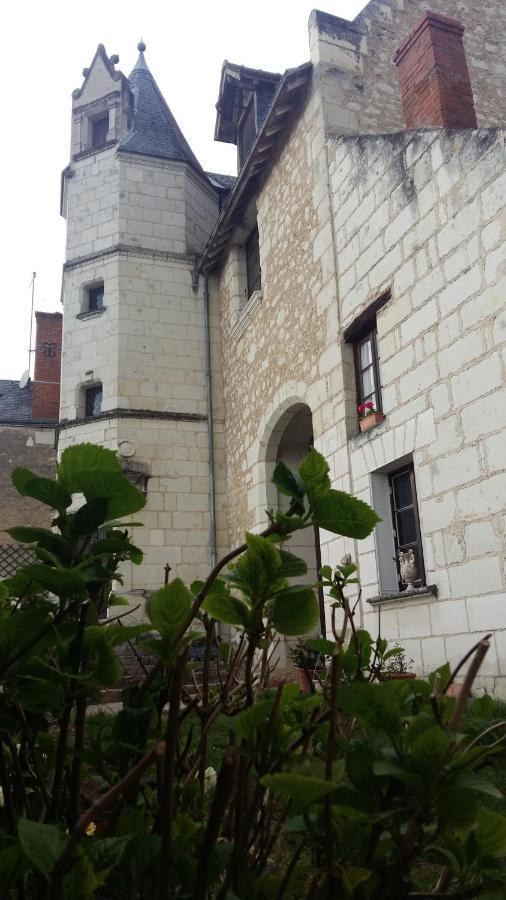 Bed and Breakfast Le Manoir Des Roches Bourré Exterior foto