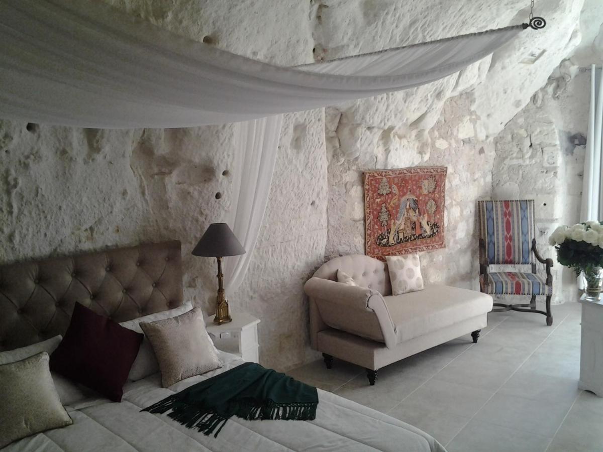 Bed and Breakfast Le Manoir Des Roches Bourré Exterior foto