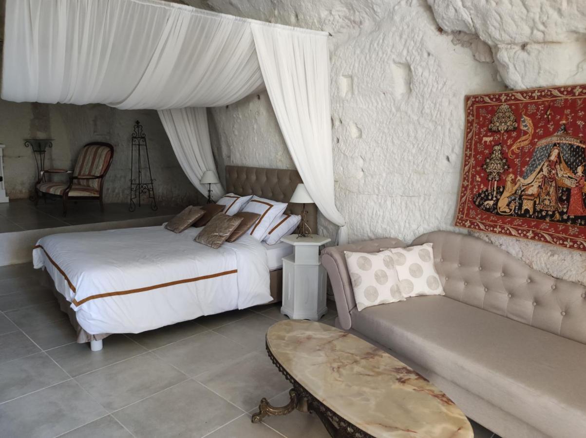 Bed and Breakfast Le Manoir Des Roches Bourré Exterior foto